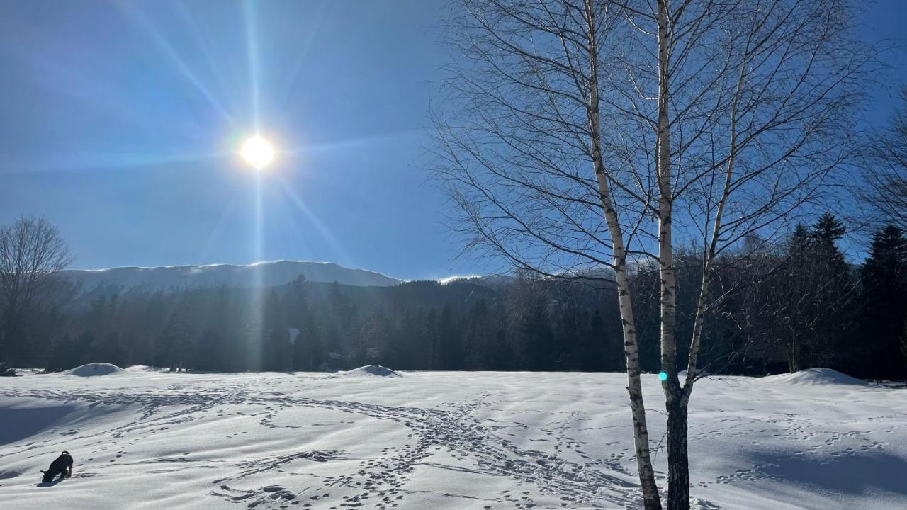 Vila Slow Life Pod Babia Gora Zawoja Exteriér fotografie