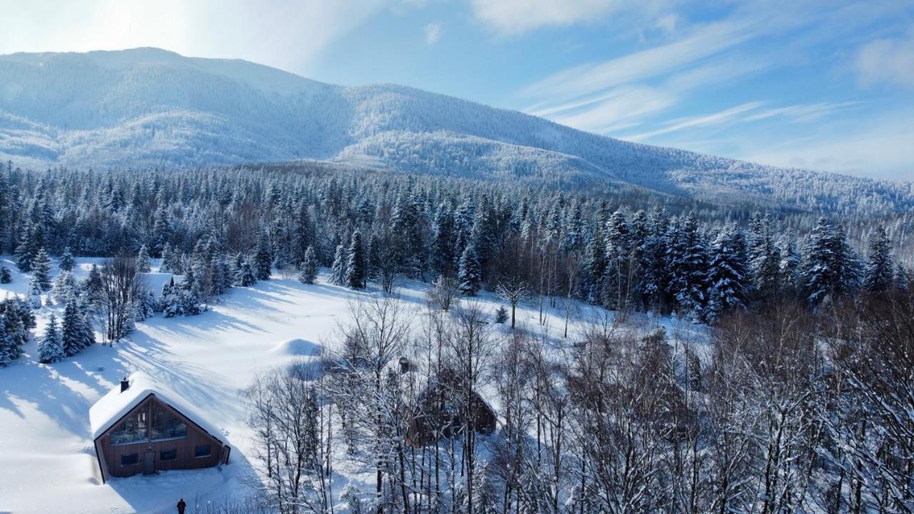 Vila Slow Life Pod Babia Gora Zawoja Exteriér fotografie