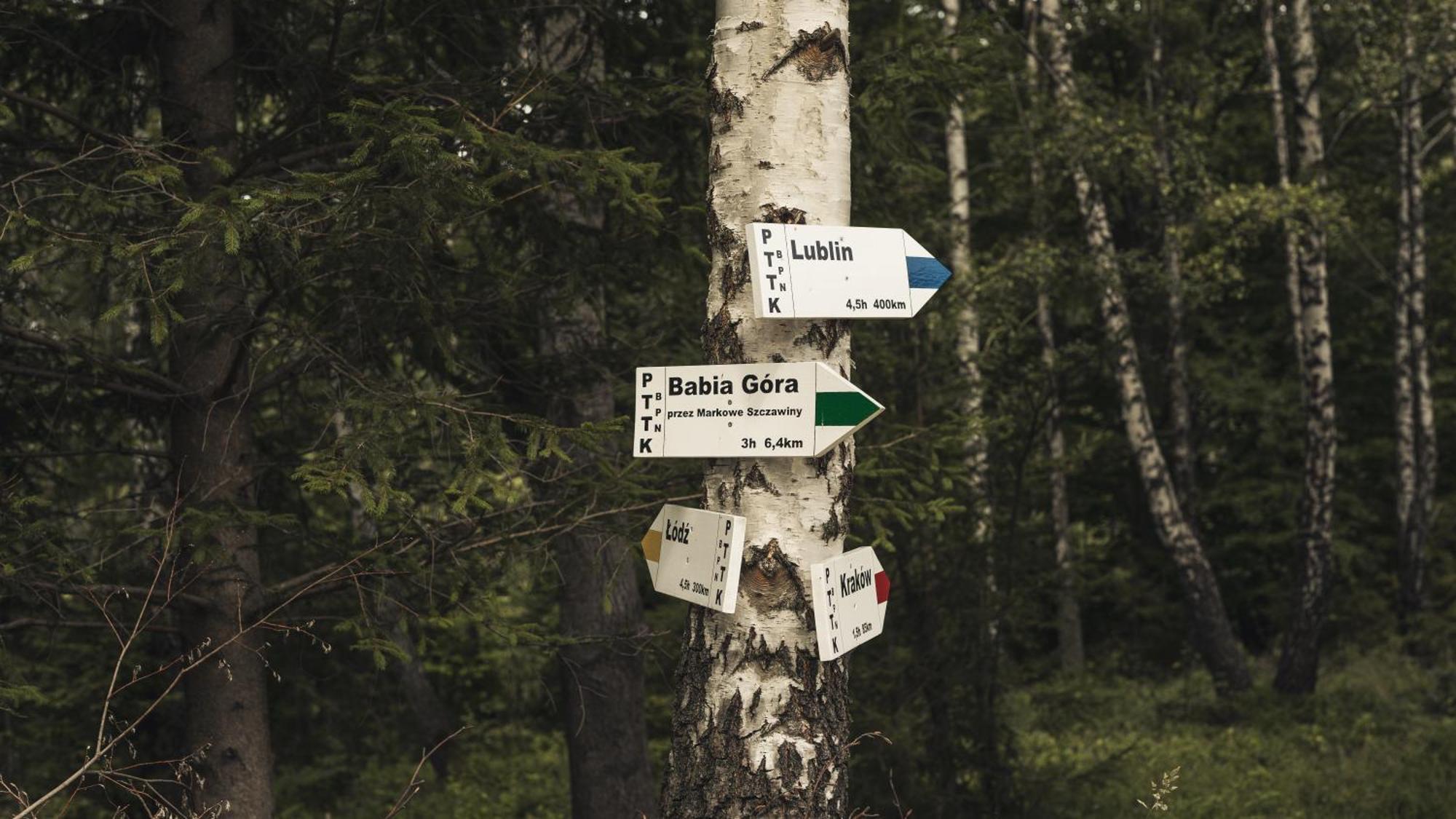 Vila Slow Life Pod Babia Gora Zawoja Exteriér fotografie